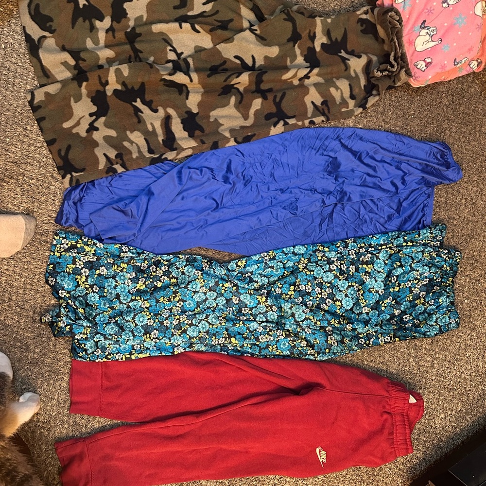 Colorful Pants Collection